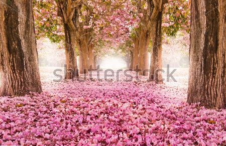 Каталог Фотообои парк:  | Wall-Style