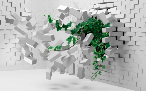 Белая стена