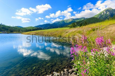 Каталог Фотообои поле:  | Wall-Style