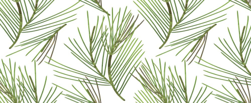 Каталог Картина ветки хвои : Панорамные | Wall-Style