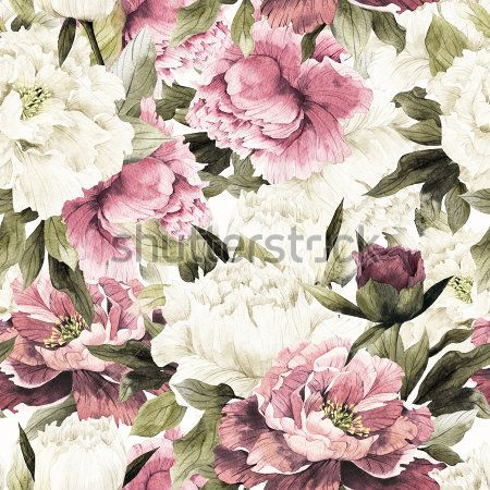 Каталог Картина пионы: Бесшовные | Wall-Style