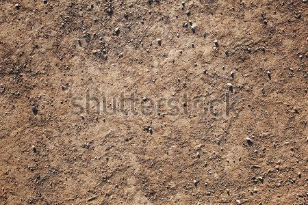 Каталог Фотообои засуха:  | Wall-Style