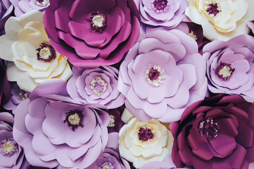 Каталог Фотообои 3д бумажные цветы:  | Wall-Style