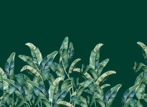 Каталог Фотообои темные листья:  | Wall-Style