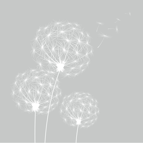 Каталог Картина одуванчики белые: Цветы и растения | Wall-Style