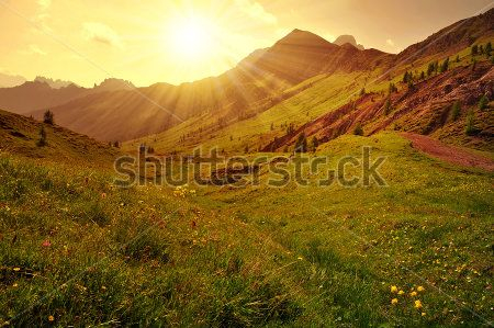 Каталог Фотообои поле в горах:  | Wall-Style