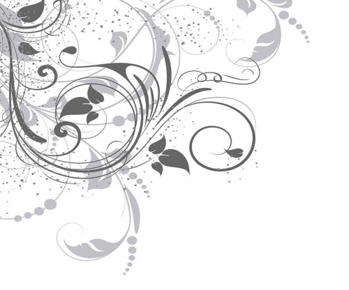 Каталог Фотообои листья:  | Wall-Style