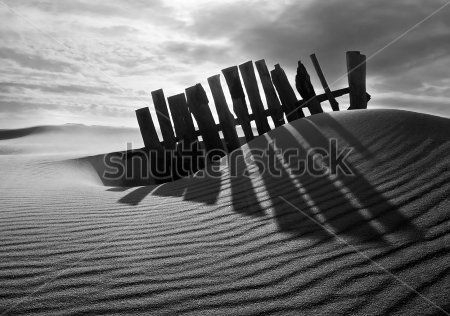 Каталог Фотообои пустыня:  | Wall-Style