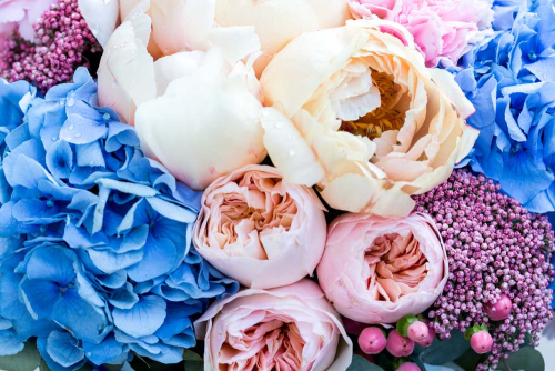 Каталог Картина живые пионы: Цветы и растения | Wall-Style