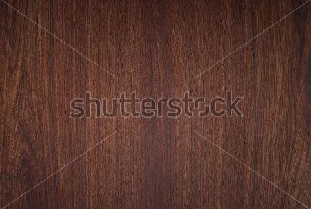 Каталог Фотообои дерево:  | Wall-Style