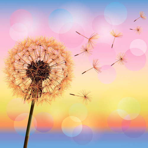Каталог Фотообои одуванчик на разноцветном фоне:  | Wall-Style