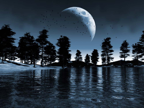 Каталог Фотообои вид на луну:  | Wall-Style