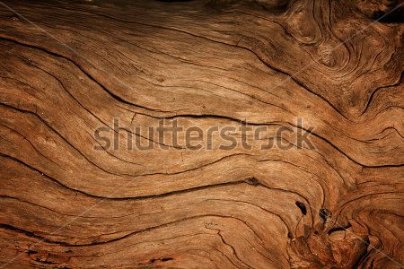 Каталог Фотообои кора:  | Wall-Style