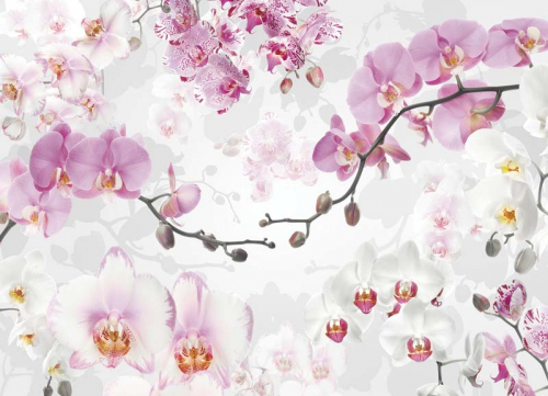 Каталог Фотообои 3д орхидеи:  | Wall-Style