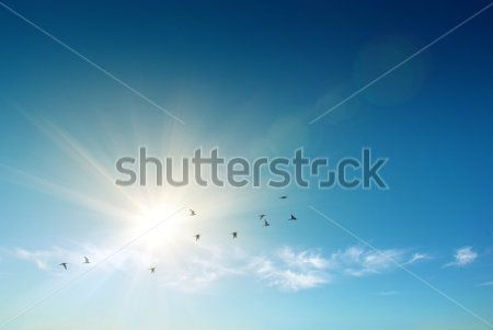 Каталог Фотообои небо:  | Wall-Style