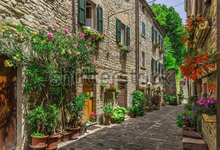 Каталог Фотообои улица:  | Wall-Style