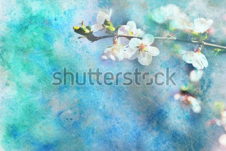 Каталог Фотообои цветущая вишня:  | Wall-Style