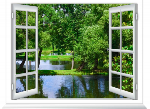 Каталог Фотообои вид на речку из окна:  | Wall-Style