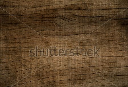 Каталог Фотообои дерево:  | Wall-Style