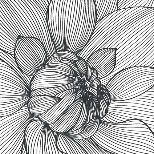 Каталог Картина рисованный пион: Цветы и растения | Wall-Style