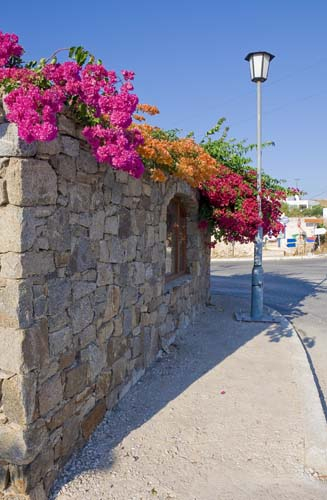 Каталог Картина улочка старого города: Старый город | Wall-Style