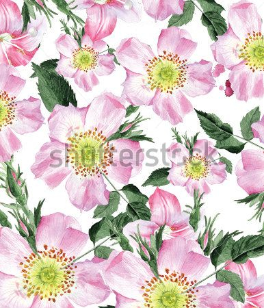 Каталог Картина цветы: Бесшовные | Wall-Style