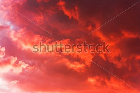 Каталог Фотообои ночное небо:  | Wall-Style