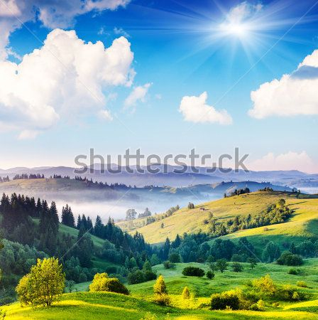 Каталог Фотообои поле:  | Wall-Style