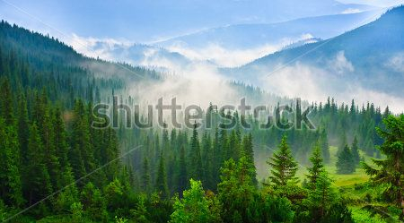 Каталог Фотообои горы:  | Wall-Style