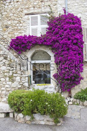 Каталог Фотообои дом:  | Wall-Style
