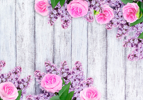 Каталог Фотообои розы на досках:  | Wall-Style