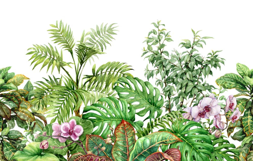 Каталог Картина цветущие летние тропики: Листья | Wall-Style