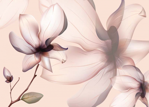 Магнолии