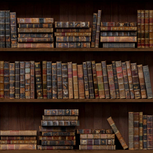 Каталог Картина полочки с книгами: Интерьеры | Wall-Style
