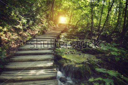 Каталог Фотообои парк:  | Wall-Style