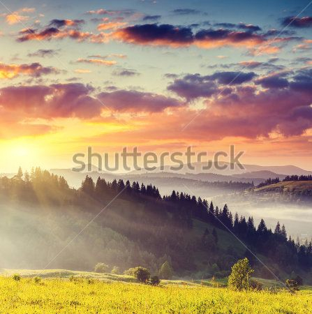 Каталог Картина горы: Природа | Wall-Style