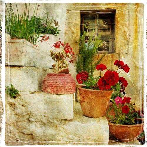 Каталог Картина цветы: Винтаж | Wall-Style