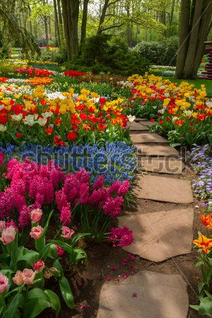 Каталог Фотообои парк:  | Wall-Style