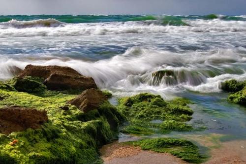 Каталог Фотообои речные пороги:  | Wall-Style