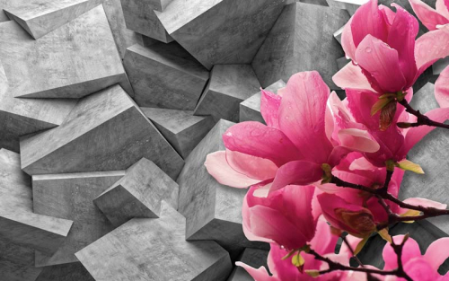 Каталог Фотообои магнолии на камнях:  | Wall-Style