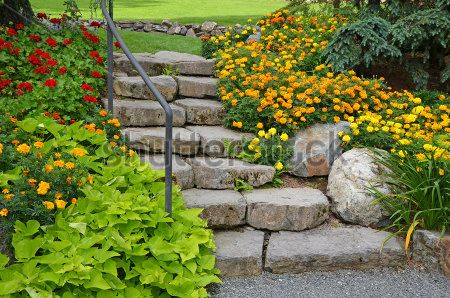 Каталог Картина парк: Природа | Wall-Style