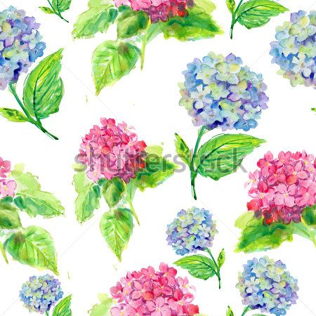 Каталог Картина сирень: Бесшовные | Wall-Style