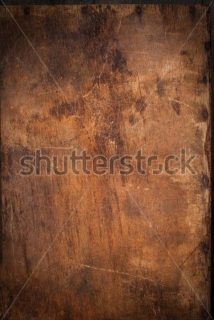 Каталог Фотообои дерево:  | Wall-Style