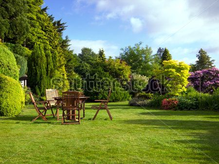 Каталог Фотообои парк:  | Wall-Style