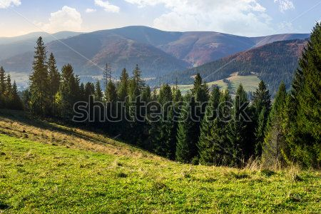 Каталог Фотообои горы:  | Wall-Style