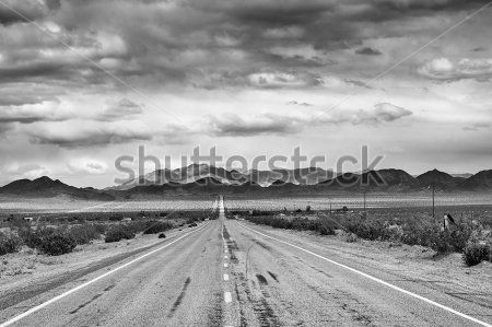 Каталог Фотообои дорога:  | Wall-Style