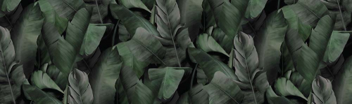 Каталог Фотообои листья :  | Wall-Style
