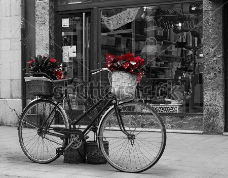 Каталог Картина цветы в корзине велосипеда: Техника и транспорт | Wall-Style