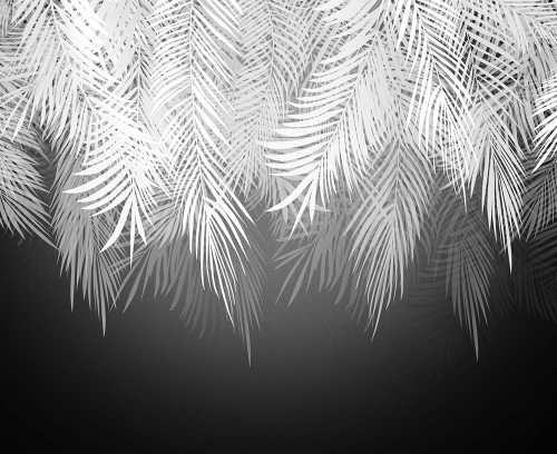 Каталог Фотообои листья бесцветные:  | Wall-Style