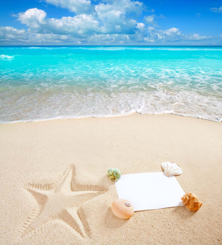 Каталог Фотообои ракушки на листе:  | Wall-Style